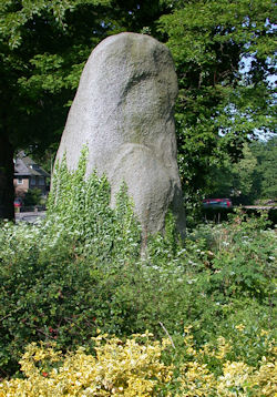 Boslaan zwerfkei Klaasje van Schoonebeek