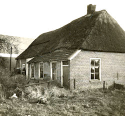 Rietdekker Bertus Wassen Weerdingerstraat Emmen