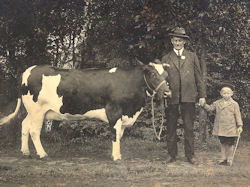 Foto Historisch Emmen Exportslachterij Walthuis