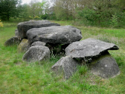 Odoornerweg Hunebed D41