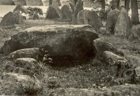 Foto Historisch Emmen Noordeind Langgraf Hunebed D43