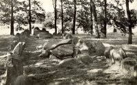 Foto Historisch Emmen Noordeind Langgraf Hunebed D43