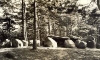 Foto Historisch Emmen Emmerdennen Hunebed D45